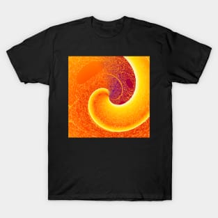 Amber Waves 56 T-Shirt